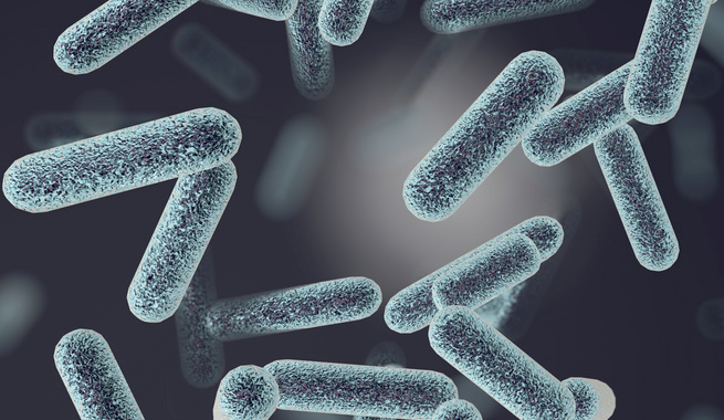 what is antimicrobial agents