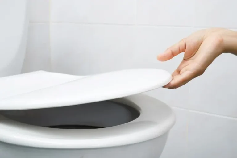 antimicrobial toliet flapper