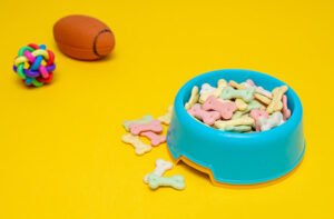 antibacterial PET supplies